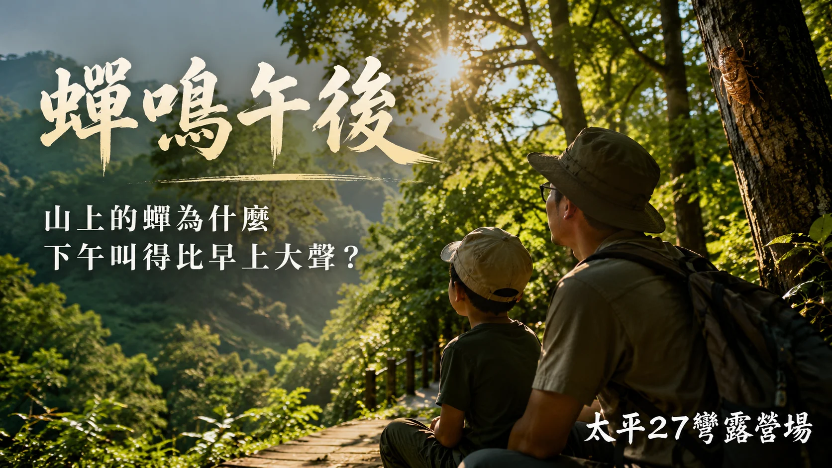 【蟬鳴午後】山上的蟬為什麼下午叫得比早上大聲？