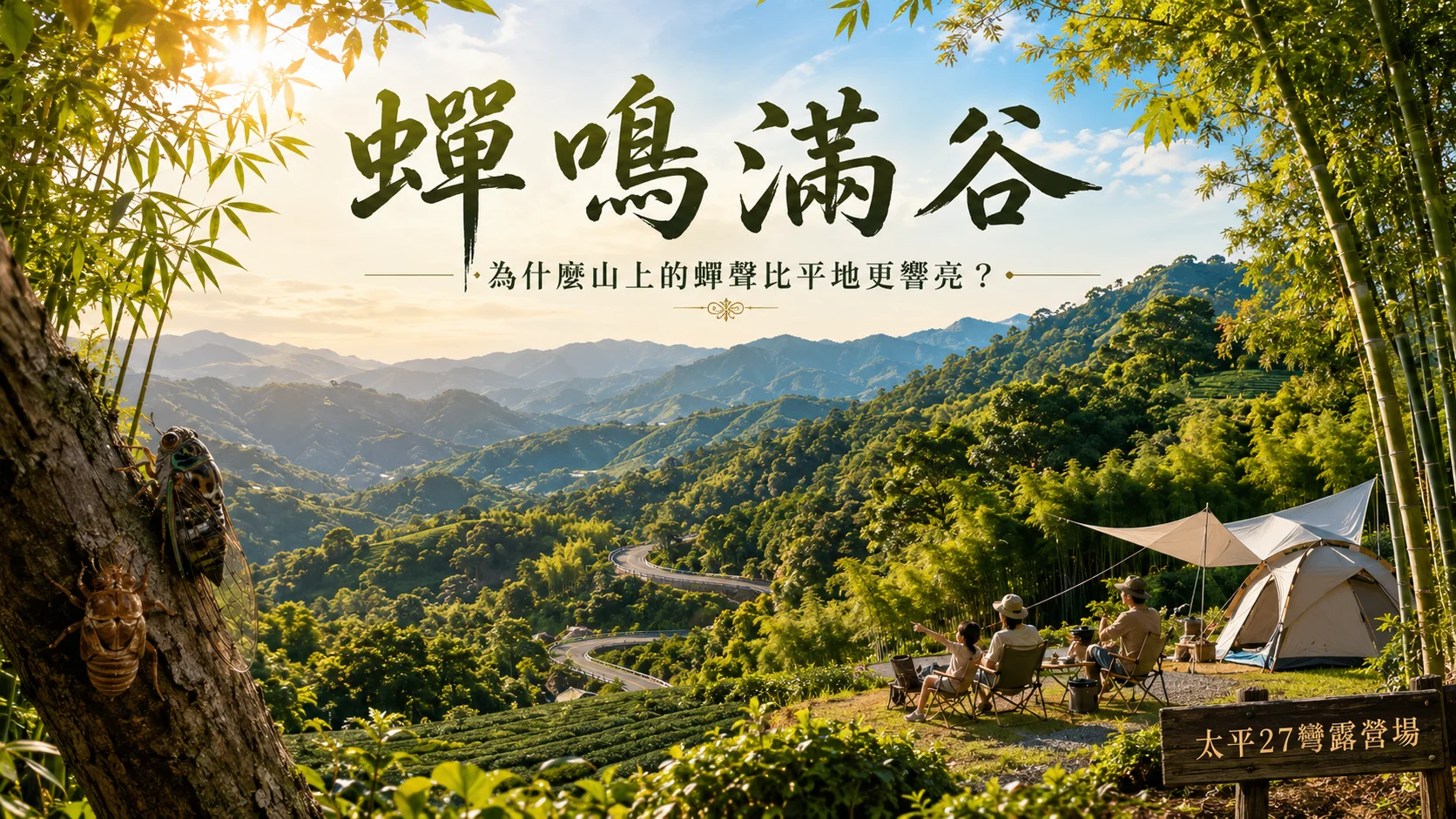 【蟬鳴滿谷】為什麼山上的蟬聲比平地更響亮？
