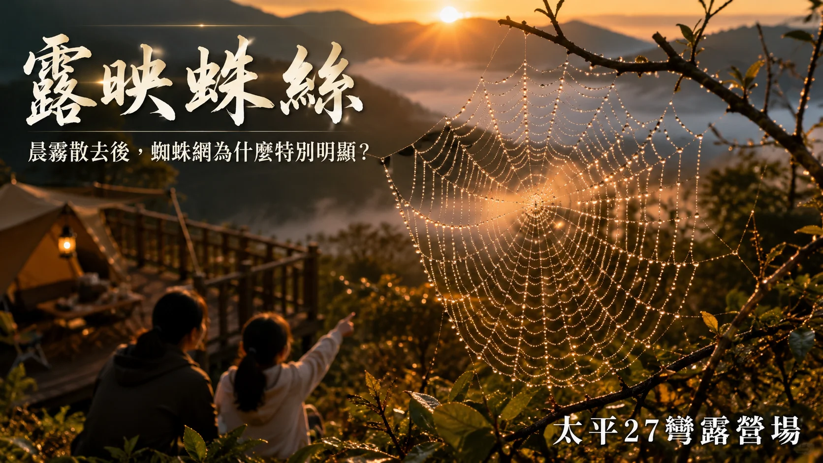 【露映蛛絲】晨霧散去後，蜘蛛網為什麼特別明顯？