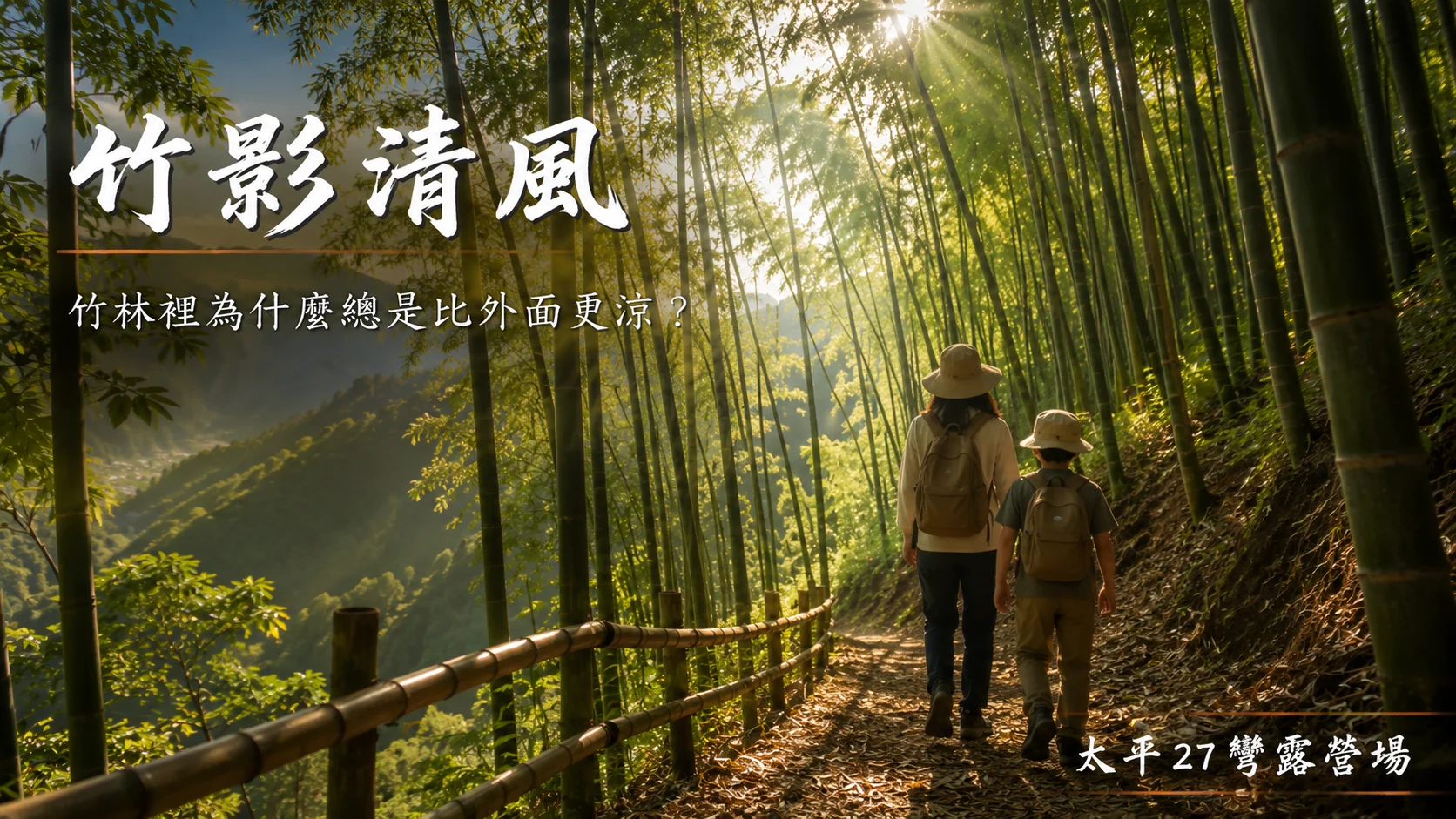 【竹影清風】竹林裡為什麼總是比外面更涼? 【竹影清風】竹林裡為什麼總是比外面更涼?