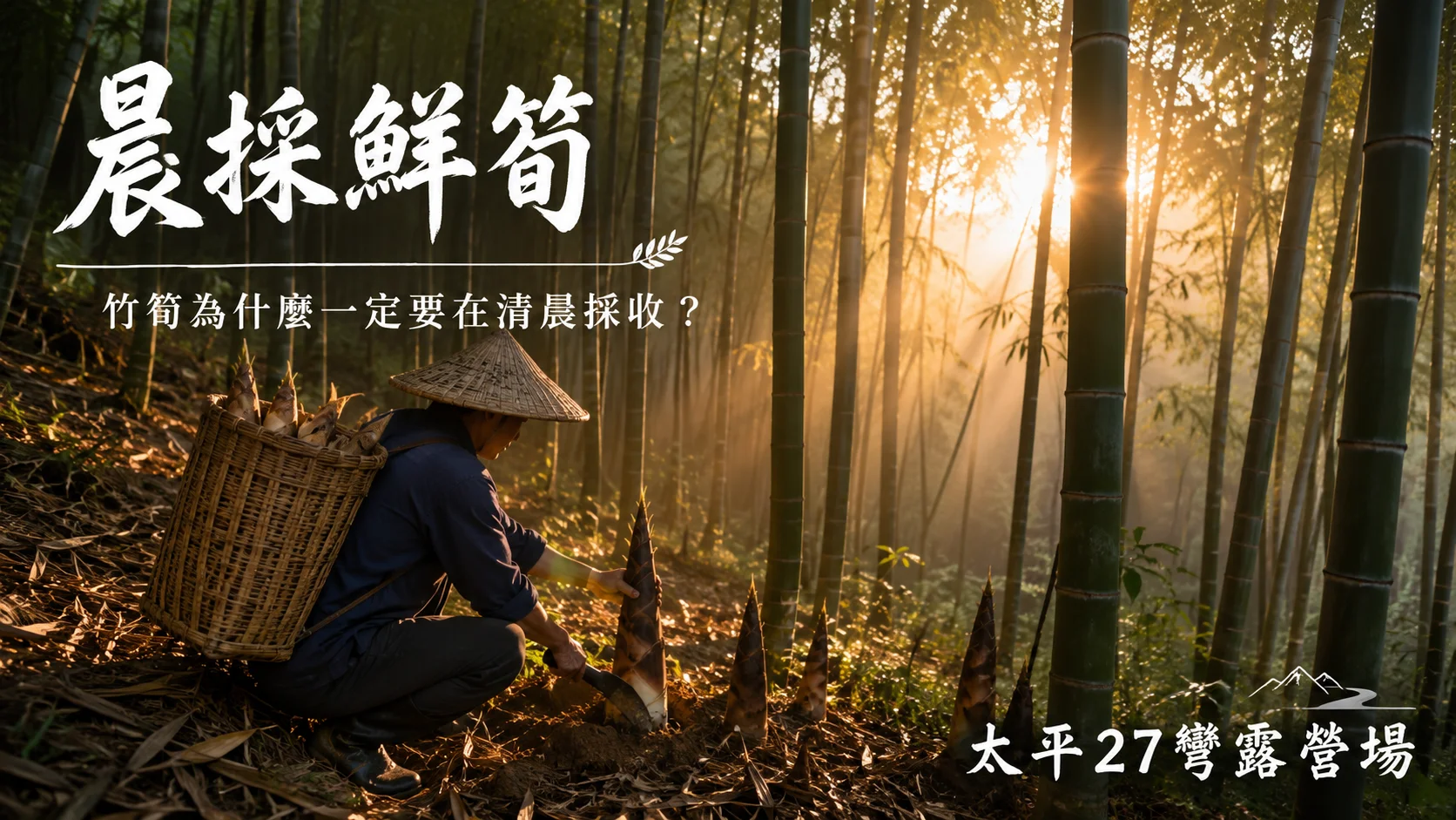 【晨採鮮筍】竹筍為什麼一定要在清晨採收? 【晨採鮮筍】竹筍為什麼一定要在清晨採收?